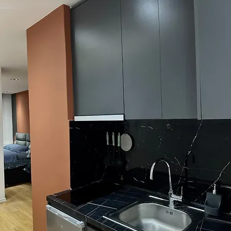 Central Apartments Tirana Daire *